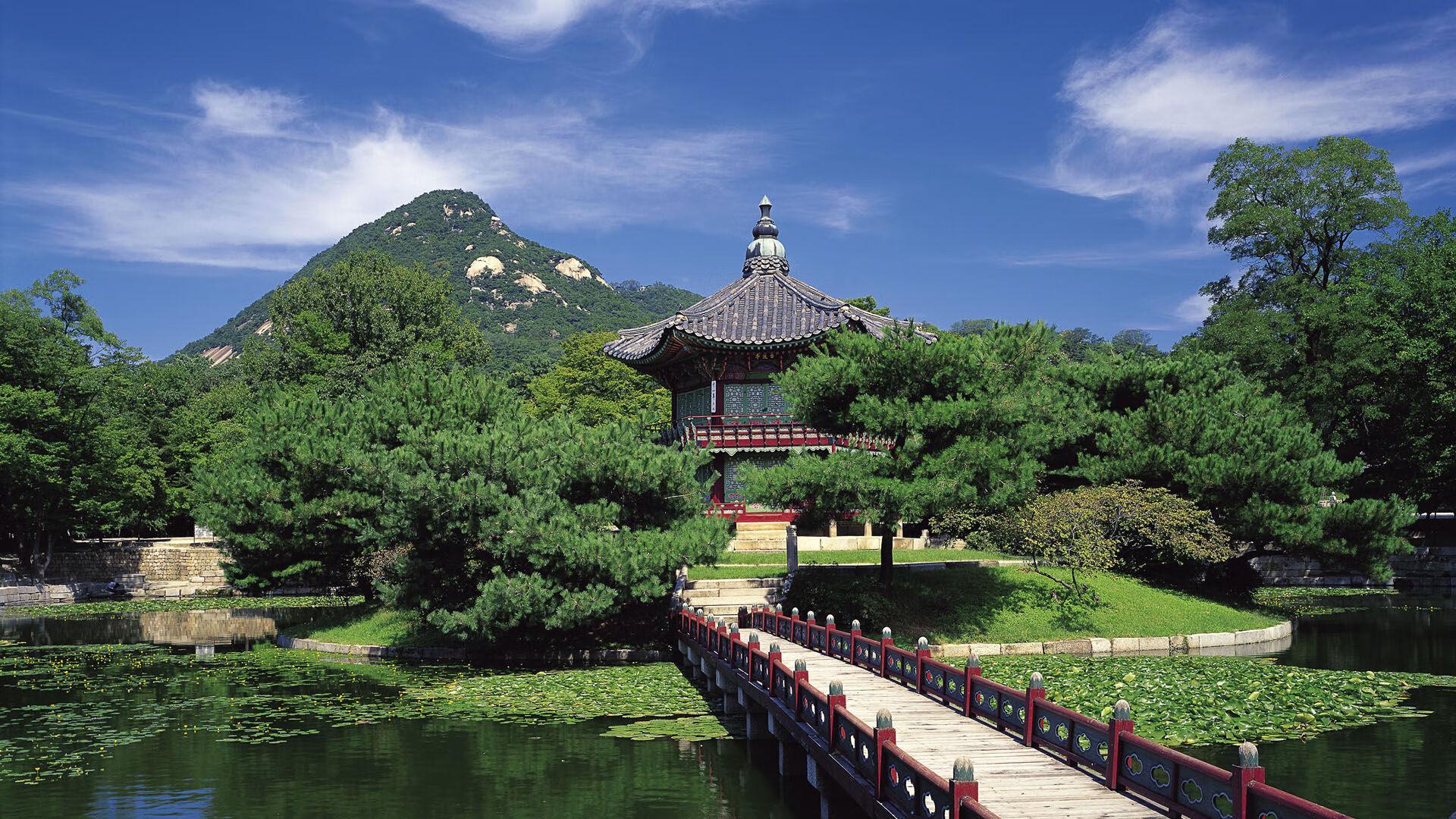 爱游戏官方网站-_年度最美瞬间：运动员微笑、庆祝集锦_，运动员庆祝动作