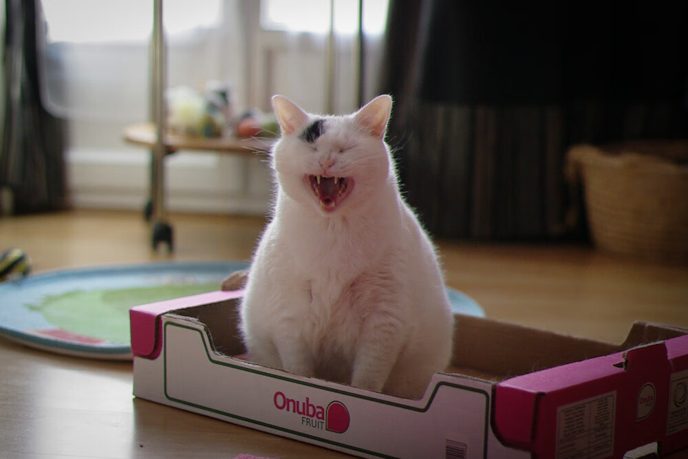 “法甲最后冲刺，豪门争夺激烈”，2021法甲大结局